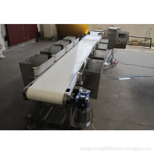Belt Grader/ Belt Weigher
